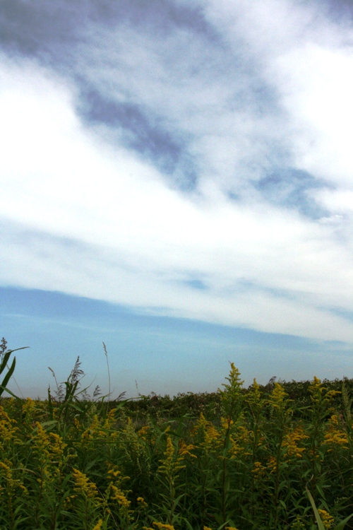 d0082288_9365679.jpg