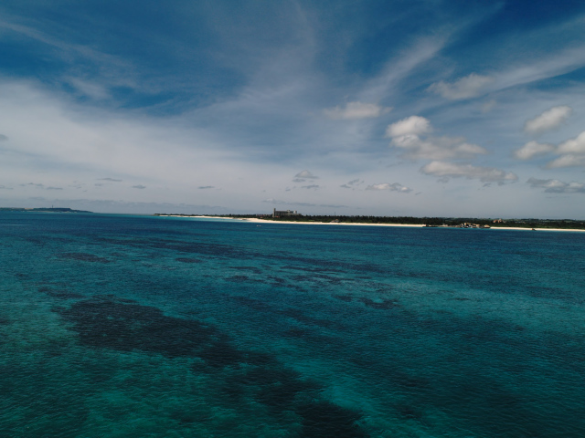 f0024992_11165873.jpg