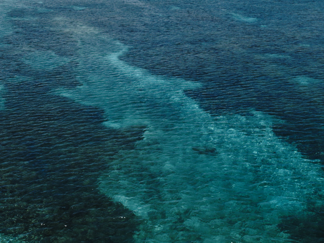 f0024992_11174971.jpg