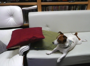 f0146198_2251015.jpg