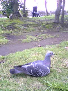 c0037701_074670.jpg