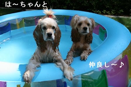 c0128303_0444820.jpg