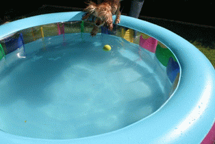 c0128303_048416.gif