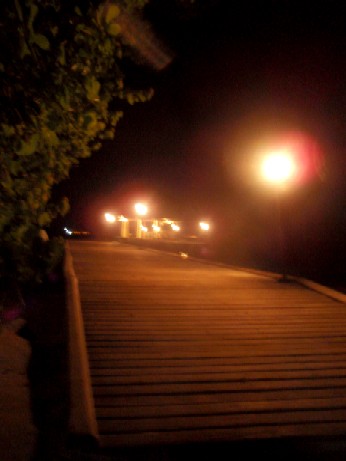 f0043911_23245553.jpg