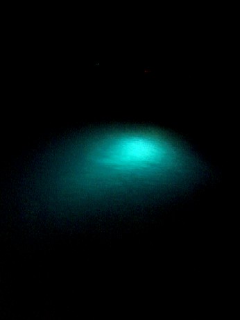f0043911_23251166.jpg