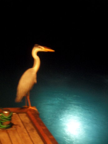 f0043911_23254473.jpg
