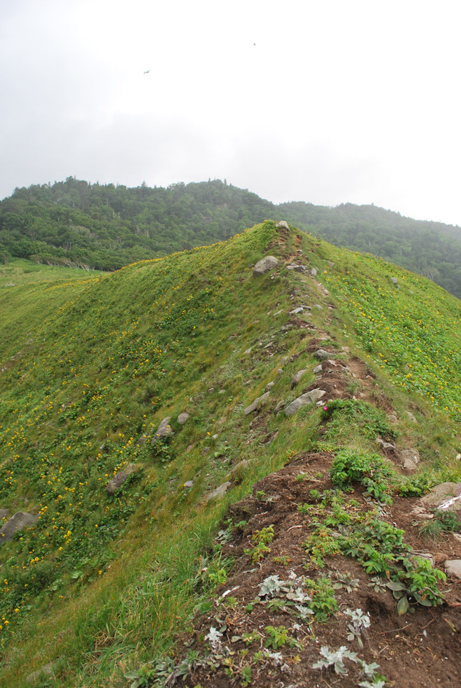 c0170212_01424.jpg