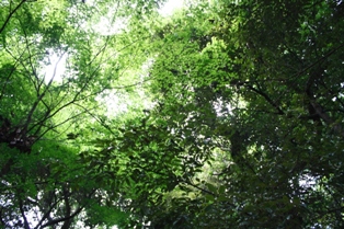 e0123322_22384348.jpg