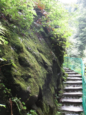 b0147224_022661.jpg