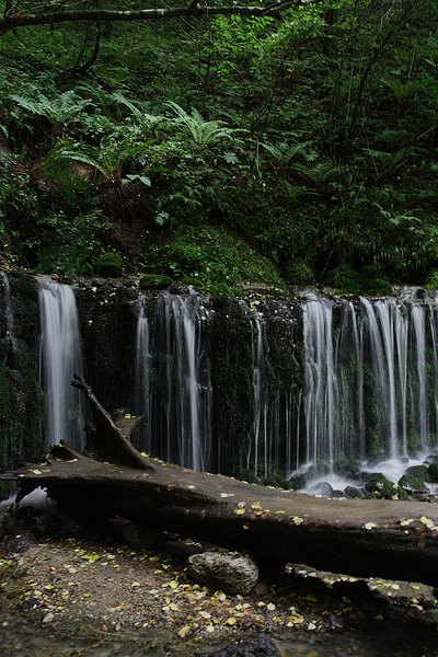 b0147624_10443484.jpg