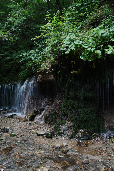 b0147624_10444577.jpg