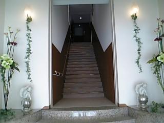 いつもと違う来店時間_e0145332_1321310.jpg
