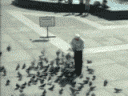 f0012637_17405738.gif