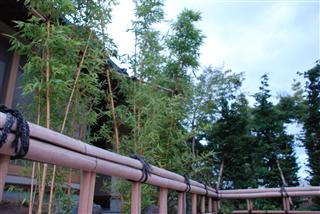 c0173939_043131.jpg