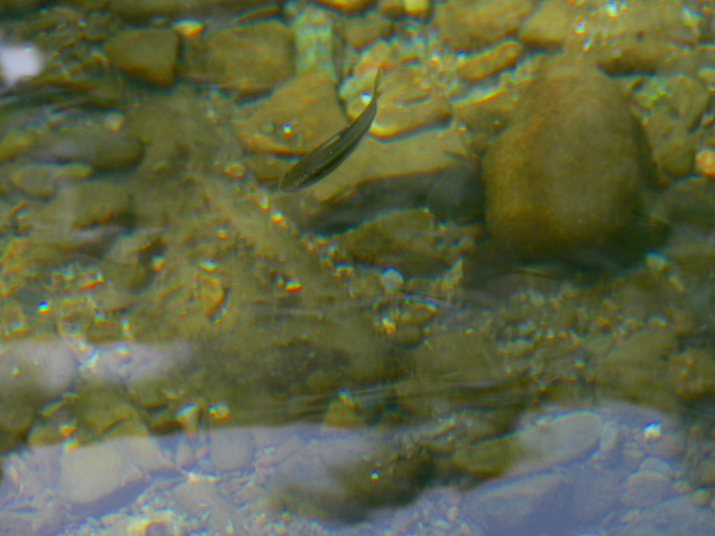 f0136656_1231429.jpg