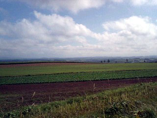 f0099367_15133956.jpg