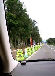 f0099367_151831100.jpg
