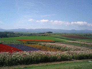 f0099367_15194726.jpg