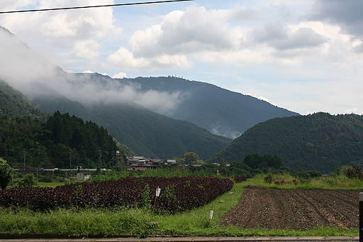b0055171_17295828.jpg