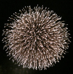 f0117673_22173329.jpg