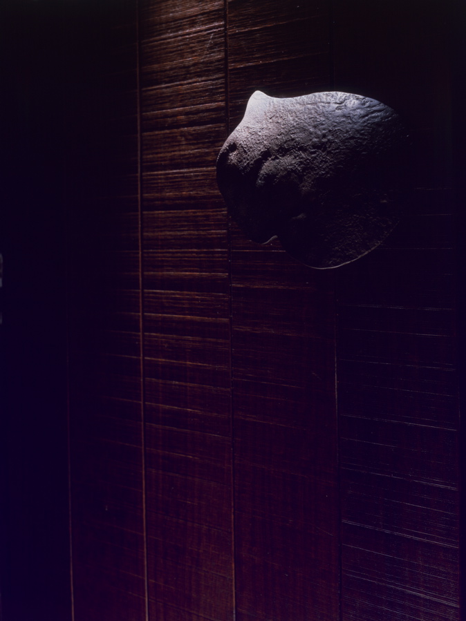 c0089974_712256.jpg