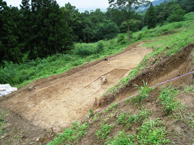 「桑折西山城現地説明会」にて⑤～南側の調査区(空堀跡) _a0087378_3364744.jpg