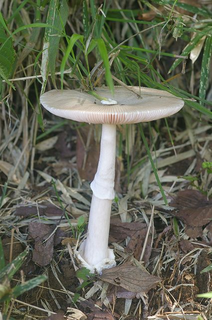 e0070891_19124511.jpg