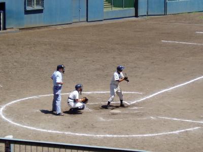 ダートサークル まもる君の日々探究