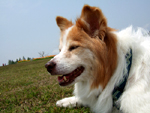 a0040103_19273114.jpg