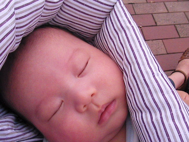 f0038407_171456.jpg