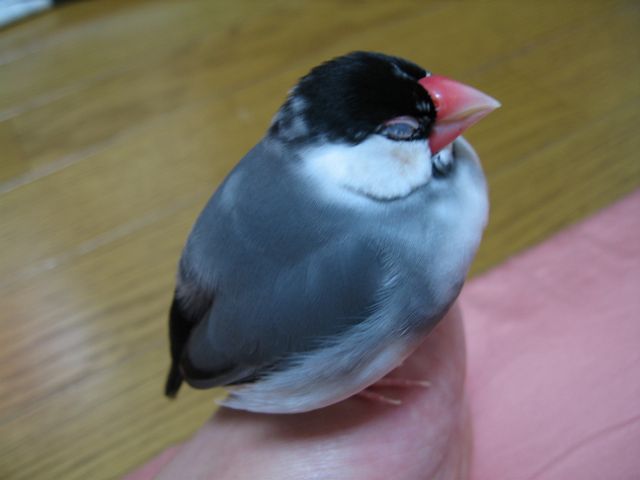 d0006812_0163911.jpg