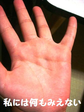 手相をみてしんぜましょう 十目一ハ研究所 ミルニング部