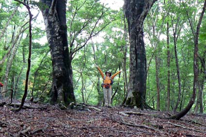 若狭側から登る　若狭駒ヶ岳　9月4日_d0099936_20591527.jpg