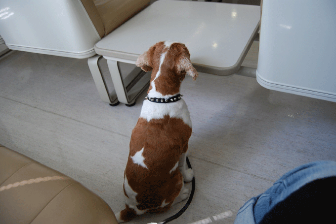 c0136838_2247188.gif