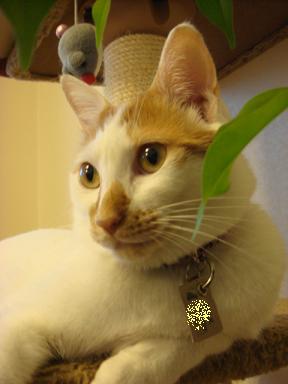 f0046854_20102163.jpg
