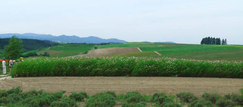 c0097856_0182439.jpg