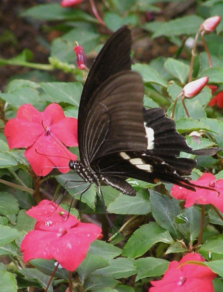 e0064158_0235115.jpg