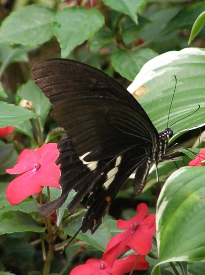 e0064158_024568.jpg