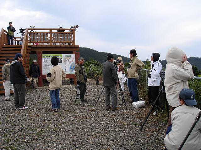 b0104861_17382862.jpg