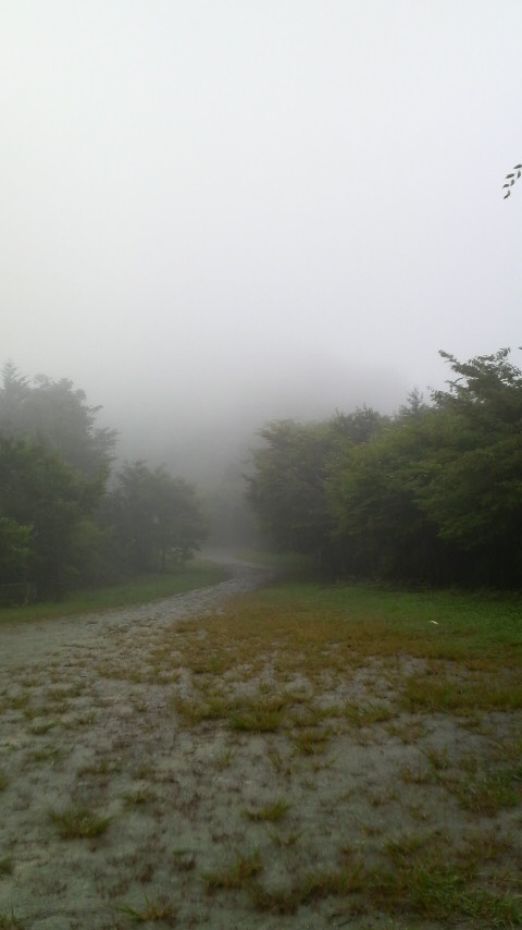 c0147261_253304.jpg