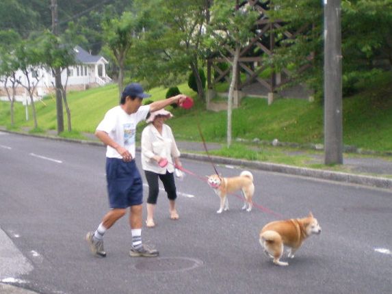 2008年9月5日(金)愛ちゃんもチーズケーキが好き?_f0060461_1124035.jpg