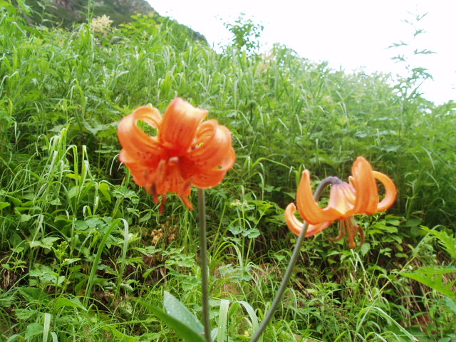 登山　槍ヶ岳へ～その3_f0145963_22342210.jpg