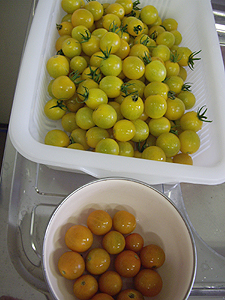 f0024964_9343057.jpg