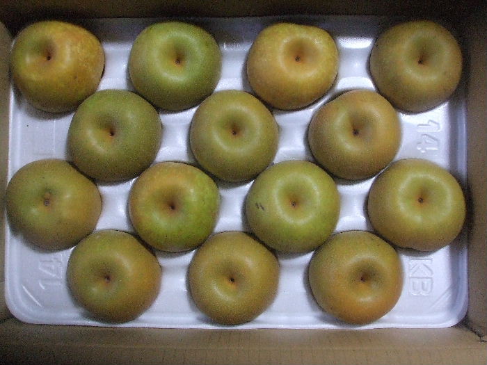b0067569_22515369.jpg