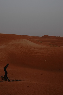 e0066474_23462353.jpg