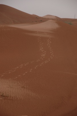 e0066474_23464097.jpg