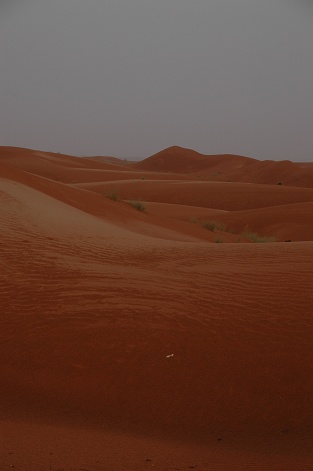 e0066474_234899.jpg