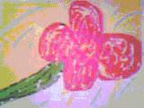 a0098307_4323538.jpg