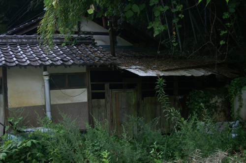 f0181007_10514662.jpg
