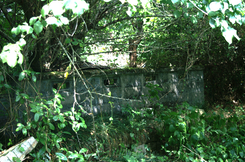f0181007_10525583.jpg
